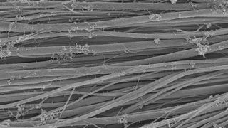 Unter dem Elektronenmikroskop: Kollagenfaserbündel nach der Mineralisation mit (dem Knochenmineral) Kalziumphosphat (Bild: Max-Planck-Institut für Kolloid- und Grenzflächenforschung)