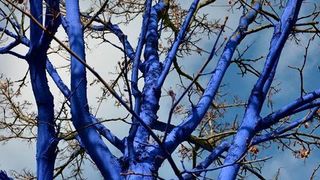 Mit Pinsel und Farbeimer – in dem natürlich nur umweltfreundliche Farbe auf Wasserbasis sein darf – erzeugt Konstantin Dimopoulos öffentliche Installationen, die in der Kunstszene auf mehreren Kontinenten bekannt sind. (Bild: Ziehl-Abegg/Achim Köpf)