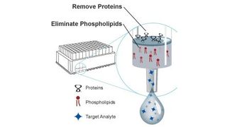Funktionprinzip der neuen Aufreinigungsplatten (Bild: Phenomenex)