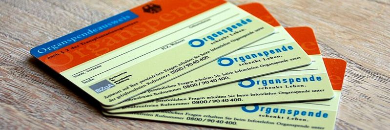 Scheckkartengroß und unter Umständen lebensrettend: der Organspendeausweis. Ein nun eingeführtes Register könnte ihn mittelfristig obsolet machen.(©  gemeinfrei /  Pixabay)