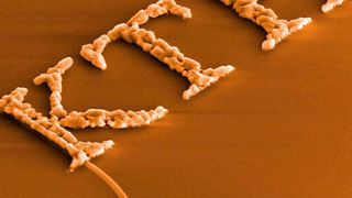 Synthesized copper oxide crystals arranged to spell out the name of the university where the production method originated - KTH Royal Institute of Technology. (KTH )