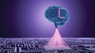 Wissenschaftler des Max-Planck-Instituts für Polymerforschung haben  künstliche Neuronen geschaffen, die effizient mit ihrem biologischen Gegenstück kommunizieren können (Symbolbild). (Bild: Dragon Claws - stock.adobe.com)