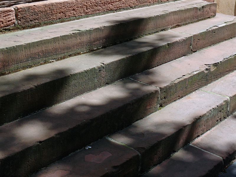 Platz 10: Sonstige* (15.540, bzw. 1,7% aller registrierten Fälle)  Zu rund 16.000 Todesfällen liegen keine genauen Angaben der Todesursache vor bzw. kann die Todesursache nicht einer Kategorie der Statistik zugeordnet werden.  *ungenau oder nicht näher bezeichnete Todesursachen (Bild: Pixabay/moritz320)