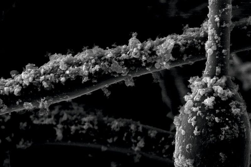 Erst mit einem Elektronenmikroskop kann man Feinstaub sehen; das markierte Körnchen ist 0,003 Millimeter groß. Gase und Geruchsmoleküle sind noch weitaus kleiner. (Mahle)