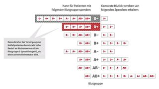 Infografik des Blutspendedienstes des Bayerischen Roten Kreuzes zur Kompatibilität der Blutgruppen (Bild: BRK, www.blutspendedienst.com)