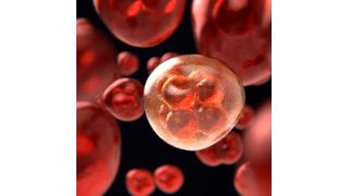 A new study by NUS researchers reveals that methylglyoxal, a chemical produced when our body break down glucose for energy production, instigates faults in our DNA that are early warning signs of cancer initiation. (Source: Pixabay)