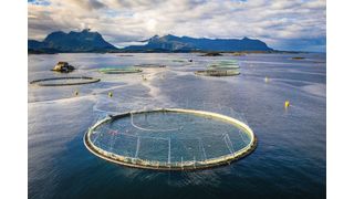 Abb. 1: PFAS können über die Umwelt und Lebensmittel auch in den menschlichen Köper gelangen. Gleichzeitig stellen PFAS aufgrund ihrer hohen Stabilität und Mobilität eine Herausforderung für die Umweltüberwachung dar. (Symbolbild) (Bild: © Stanislav - stock.adobe.com)