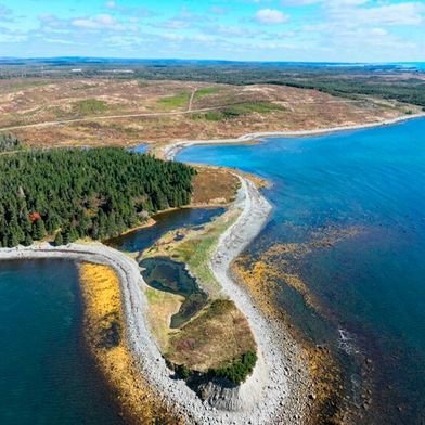 Nova Scotia (Kanada): Nova Sustainable Fuels plant hier ein integriertes Biomasse-zu-Methanol-Projekt mit einer Kapazität von über 450.000 Tonnen Bio-Methanol pro Jahr. (Bild: Nova Sustainable Fuels)