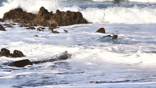 Algen und Bakterien im Meer haben einen großen Einfluss auf das Gleichgewicht von Aufnahme und Abgabe von Kohlendioxid der Atmosphäre und damit auf das weltweite Klima. (Bild: Helmholtz-Zentrum für Umweltforschung - UFZ)