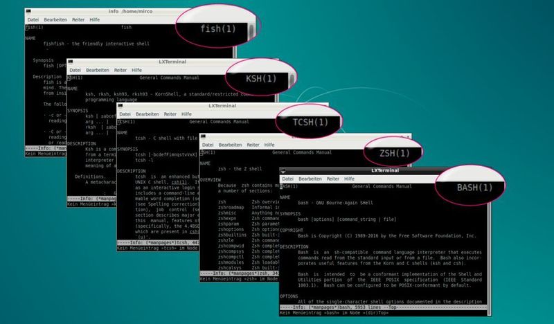 Neben der GNU Bourne-Again Shell gibt es einige durchaus beachtenswerte Alternativen. (Lang)