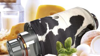 Die Drehdurchführungen für die Kühl- oder Heizmedien sitzen in der Regel am Ende der rotierenden Maschinenkomponenten und bilden die Schnittstelle zu den stationären Rohrleitungen.   (© weseetheworld - Fotolia)