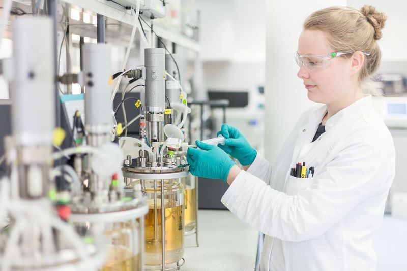 Abb. 1: Tierische und humane Zelllinien kommen vielfach in der biopharmazeutischen Forschung und Entwicklung zum Ensatz. (Xell)