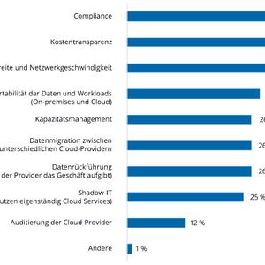 Herausforderungen beim Management von Daten in einer Multi-Cloud-Umgebung(Bild:  IDC)