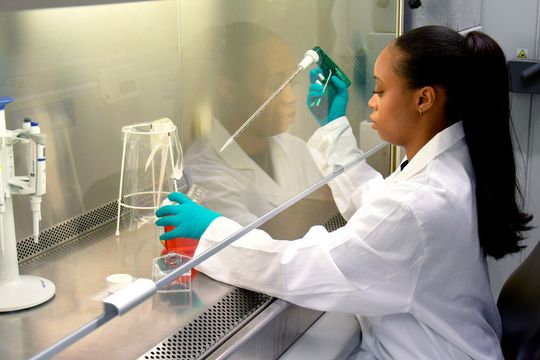 Im Sicherheitslabor, in dem die Biokompatibilität der entwickelten Biokunststoffe analysiert wird, befüllt Mitarbeiterin Fatima Kargbo eine Zellkulturflasche mit Kulturmedium.(Bild:  Frankfurt UAS)