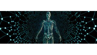 Verknüpft man Exoskelette mit dem IoT legt das eine wichtige Grundlage für die zukünftige Unterstützung durch KI. (Bild: gemeinfrei)