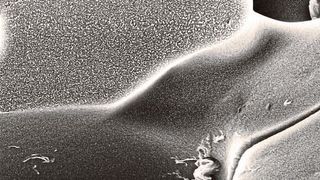 Rasterelektronenmikroskopische Aufnahme des neuen Mineralplastiks (Bild: Avasthi et al. / CC BY 4.0)