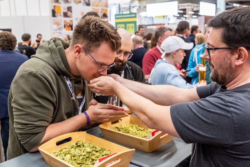 Auch die Rohstoffe – in diesem Fall Hopfen – werden den Besuchern präsentiert. (Bild: Yontex / Thomas Geiger)