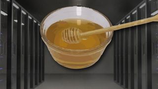 Um auf Cyberattacken in der öffentlichen Verwaltung reagieren zu können, wurde in Sachsen die IT-Sicherheitslösung HoneySens entwickelt. (Bild: gemeinfrei)