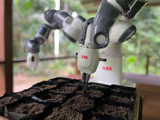 Smarte Rettung! Hier sieht man den ABB-Cobot Yumi, der mit Solarstrom versorgt wird, bei der Wiederaufforstung im Regenwald in Peru. Der vollautomatisch agierende Roboter setzt jeden Morgen 640 Saatgutbeutel im Amazonas-Regenwaldboden ein. Smarte Rettung! Hier sieht man den ABB-Cobot Yumi, der mit Solarstrom versorgt wird, bei der Wiederaufforstung im Regenwald in Peru. Der vollautomatisch agierende Roboter setzt jeden Morgen 640 Saatgutbeutel im Amazonas-Regenwaldboden ein.