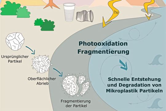 Kunststoffteilchen aus Polystyrol fragmentieren in zwei Phasen: oberflächliche Veränderung durch Sonneneinstrahlung (Photooxidation) und mechanischer Zerfall der Teilchen Kunststoffteilchen aus Polystyrol fragmentieren in zwei Phasen: oberflächliche Veränderung durch Sonneneinstrahlung (Photooxidation) und mechanischer Zerfall der Teilchen