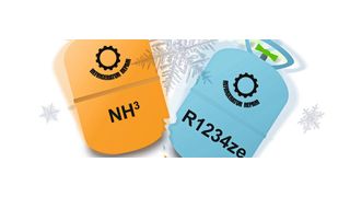 Ist das Ende der Ammoniak-Zeit gekommen? Alternative Kältemittel wie R1234ze  rütteln am Thron des Platzhirschen. (Bild: © malaha.art; Alexey Kljatov - adobe.stock.com; [M] EHaselmann)