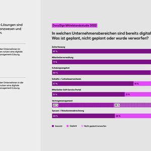 Im Branchenvergleich hat der Finanzsektor die Nase vorn. (Bild:  Docu Sign)