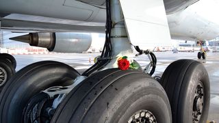 Klingt unwahrscheinlich, ist aber so: Per Luftfracht importierte Rosen haben einen siebenfach besseren „carbon footprint“ als in Europa gezüchtete Artgenossen. (Bild: Lufthansa Cargo)