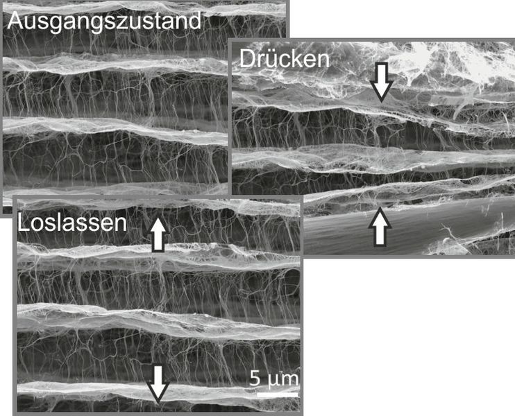 Abb.5: Verformungstest in einem Rasterelektronenmikroskop, welcher die vollständig elastische Verformung des Vanadiumpentoxid-Gerüstes zeigt. (Nano Letters 2018)
