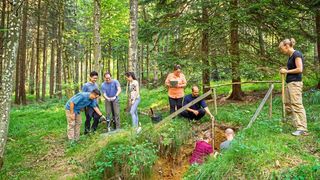 Frau Prof. Koegel-Knabner mit Studierenden und Promovierenden bei der Bodenprobenentnahme im Freisinger Waldgebiet. (Bild: Astrid Eckert, TU München)