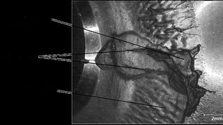Bild 1: Ermüdungsrisse und Ausbrüche aus der Werkzeugoberfläche in Kombination mit Verschleiß an einem Werkzeugeinsatz zum Kaltfließpressen von Wälzlagerkugelrohlingen. (Archiv: Vogel Business Media)