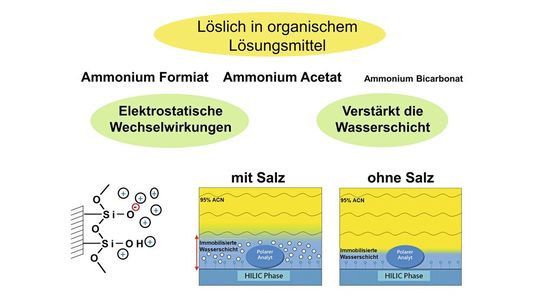 Fig. 2: Rappresentazione schematica dei sali utilizzati nella fase mobile della HILIC e del loro comportamento meccanicistico di base.(Immagine: AFIN-TS)