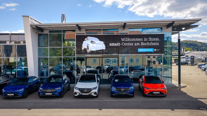 Der Kestenholz-Betrieb in Schopfheim ist künftig die zentrale Anlaufstelle für den Smart-Vertrieb bei der Gruppe.(Bild:  Kestenholz)