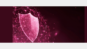 Header TP-Link (TP-Link)