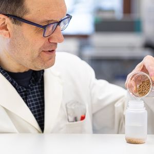 Matthias Wanner gibt Zirkonoxid-Kugeln in ein Dispergiergefäß. In einem Rüttler zerstoßen die Kugeln dann vorzerkleinerte Hühnerfedern zu einem mikrofeinen Pulver.(Bild:  Fraunhofer IAP)