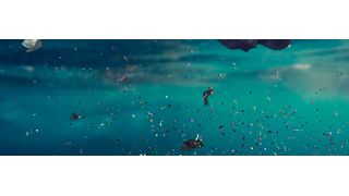 Mikroplastik ist heute in den entlegensten Winkeln unserer Erde zu finden. Über die Nahrungskette gelangt es auch wieder auf unseren Tellern (Symbolbild) (Bild: ©dottedyeti - stock.adobe.com)