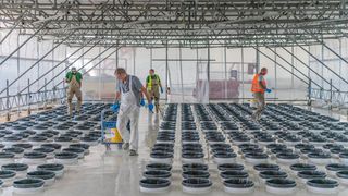 Blick in die Halbleiterfertigung bei Bosch in Dresden. Das Thema Chips will das Unternehmen jetzt massiv mit mehreren Milliarden fördern. Warum, das erfahren Sie im nebenstehenden Beitrag. (Bild: Bosch)