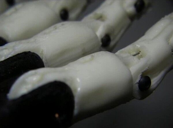 Detailansicht der auf einem 3-D-Drucker entstandenen Finger (Bild: TEDxMileHigh)
