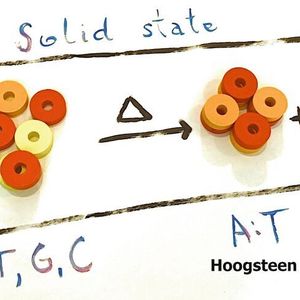 (Ruđer-Bošković-Institut, Ivan Halasz)