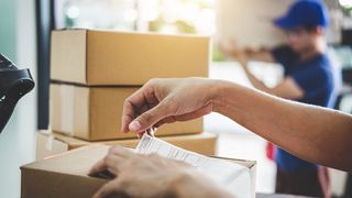 shutterstock-1135850459 (Quelle: Freedomz/shutterstock)