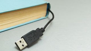  (Andrii Zastrozhnov/ stock.adobe.com)