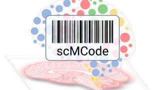 A diagram demonstrating how Bar Codes (scMCodes) can be used to identify and classify cell types in the brain. The image shows an anatomical brain cross section, an abstraction of the brain with regions represented as colored circles (blue, red, green, and yellow), and a barcode to represent the technique used by the scientists. (Source: Salk Institute)