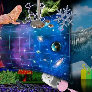 Kurioses aus den Wissenschaften: Von Aluminium in Deos, Botox aus Schinkenscheiben, Corona-Käfern und mehr (Symbolbild) (Bild: stock.adobe.com)