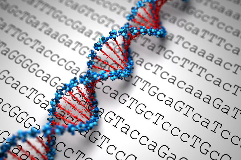 The now-complete human genome sequence will be particularly valuable for studies that aim to establish comprehensive views of human genomic variation, or how people’s DNA differs.  (Leigh Prather - stock.adobe.com)