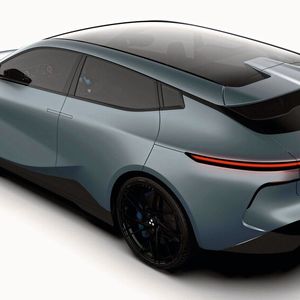 Beim „Animal“ sind die Türgriffe mit der Blechhaut bündig.(Bild:  Liux)