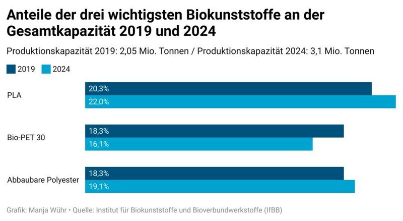 Anteile der drei wichtigsten Biokunststoffe an der Gesamtkapazität 2019 und 2024 (Wühr/IfBB)