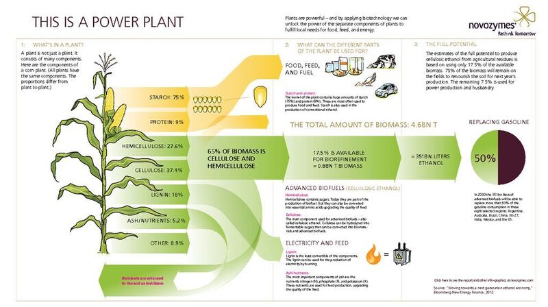 Power from the plant – agraic resiudes could help to turn the tide in the world's depency on fossile fuels.  (Picture: Novozymes)