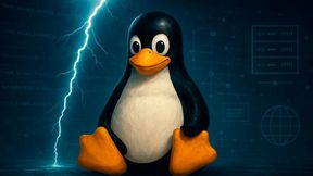 Die Sicherheitslücke EUVD-2025-24155 / CVE-2025-38499 im Linux-Kernel, die bereits seit August 2025 im Umlauf ist, wird vom BSI als kritisch eingestuft. Möglicherweise, weil nach wie vor Linux-Distributionen davon betroffen sind. (Bild: Dall-E / Vogel IT-Medien GmbH / KI-generiert)