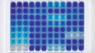 Die Viaflo-96/384-Pipette ermöglicht die gleichzeitige Übertragung von Proben und Reagenzien auf eine 96- oder 384-Well-Platte. (Integra Biosciences )