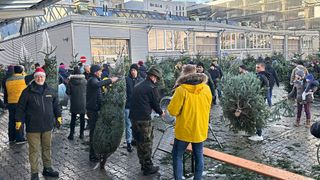 An einem Dezembermorgen im Jahr dreht Häusler-Chef Michael Rappl (links im Bild) Rundholz statt Blech. (Bild: Häusler Automobile)