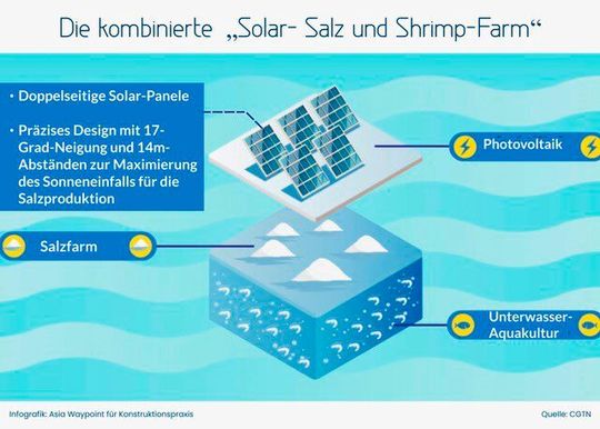 Mehrfachnutzung: So sieht die kombinierte Solar-, Salz- und Shrimp-Farm in China aus. (Bild:  Asia Waypoint)